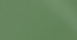 Monocolor