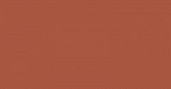 Your Color